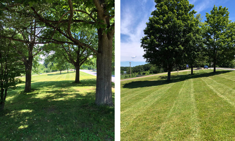 Hole six on the disc golf course at HCC